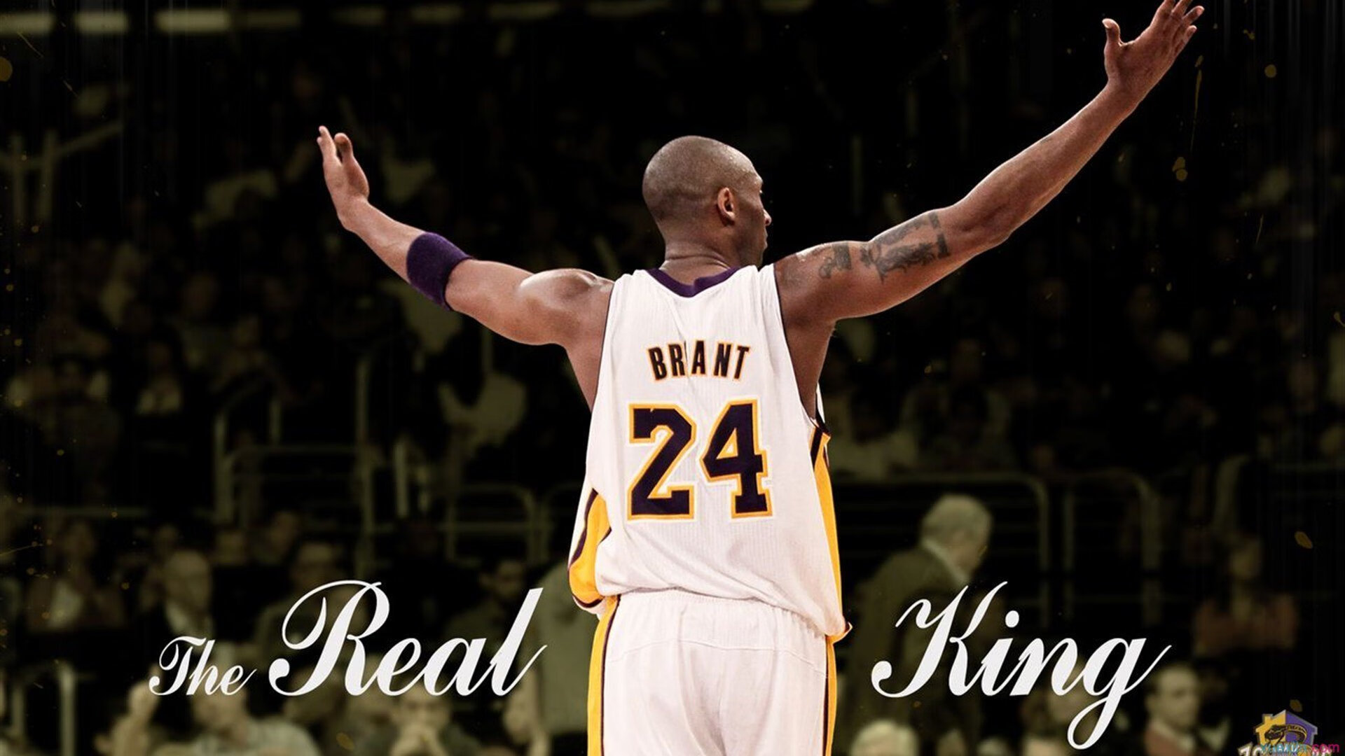 穆雷新星出色防守表现惊艳，雄鹿未来可期！